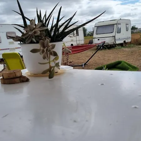 Campsite Makeeda