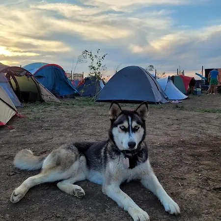 Campsite Makeeda