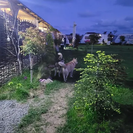 Campsite Makeeda Vama Veche