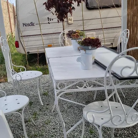 Makeeda Campsite Vama Veche