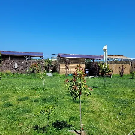 Makeeda Campsite Vama Veche