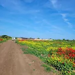 Makeeda * 바마베체