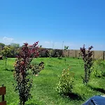 Makeeda Kemping Vama Veche