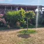 Kemping Makeeda Vama Veche