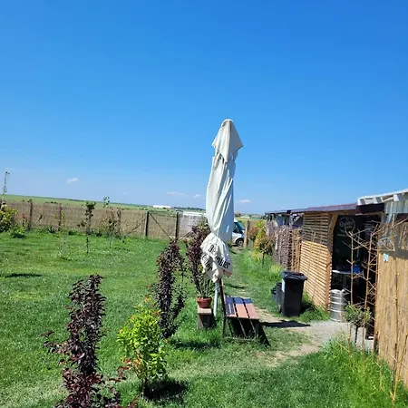 Makeeda * Vama Veche