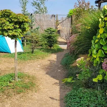 Makeeda * Vama Veche