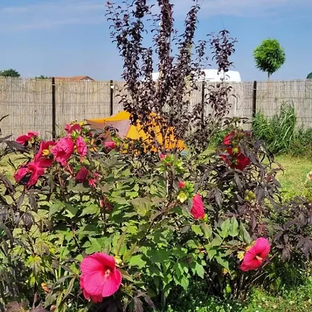 Makeeda Campingplatz