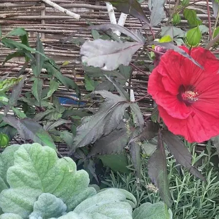 Κάμπινγκ Makeeda