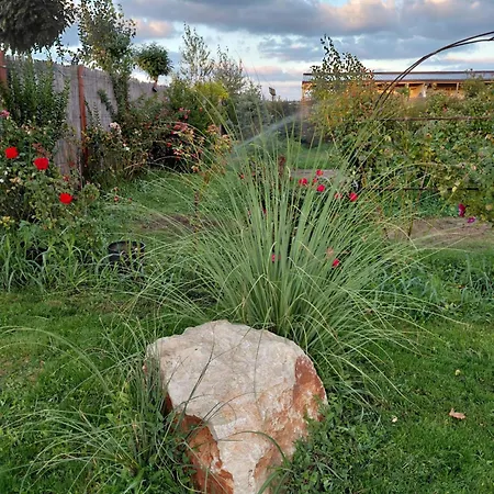 Campsite Makeeda Vama Veche