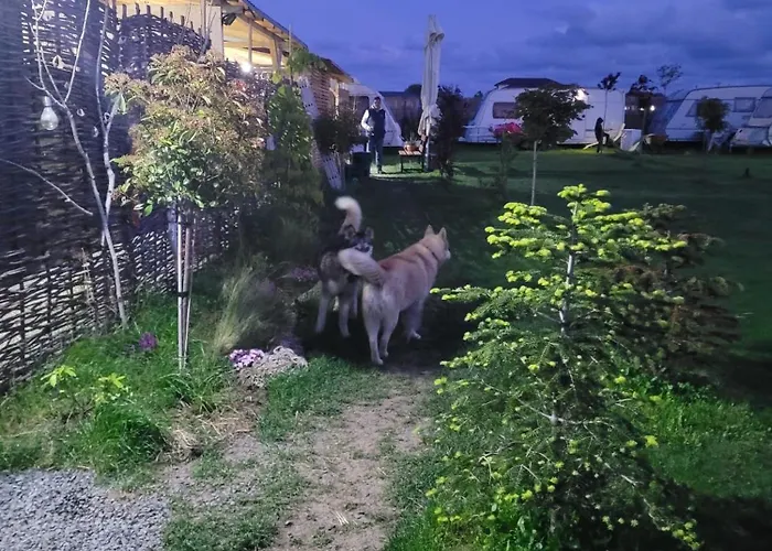 Campsite Makeeda Vama Veche