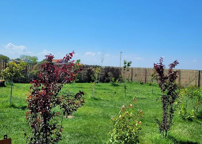 Makeeda Campsite Vama Veche