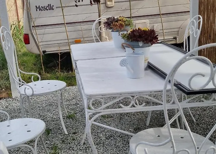 Makeeda Campsite Vama Veche