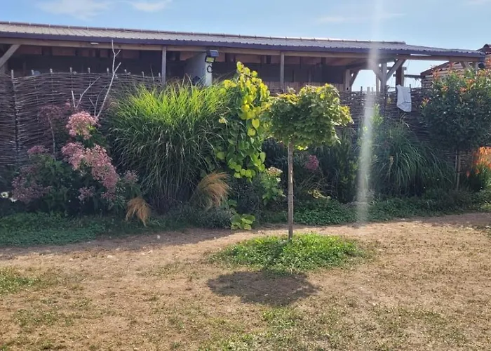 Campsite Makeeda Vama Veche