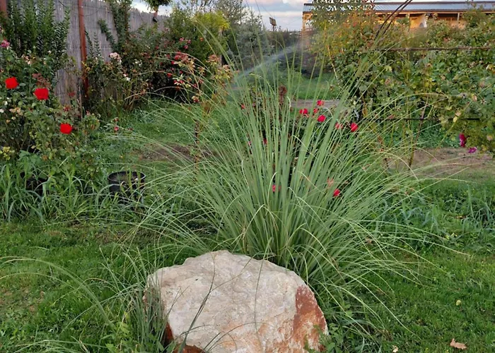 Campsite Makeeda Vama Veche